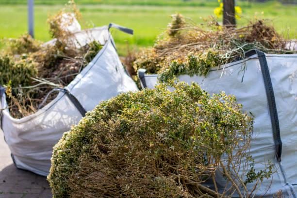 Best Local Junk Hauling  in Lodi, CA