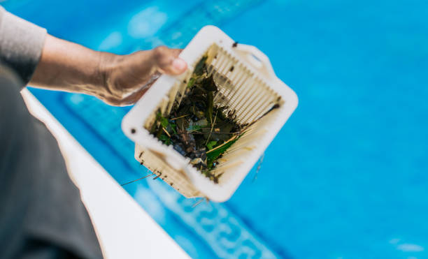 Best Estate Cleanout Services  in Lodi, CA